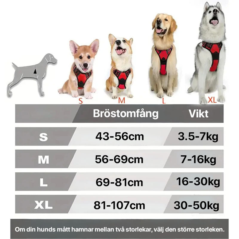 Hundsele för bil och promenad - reflex, bekväm, slitstark