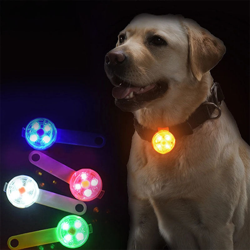 LED-lampa för hundhalsband – synlig i mörker