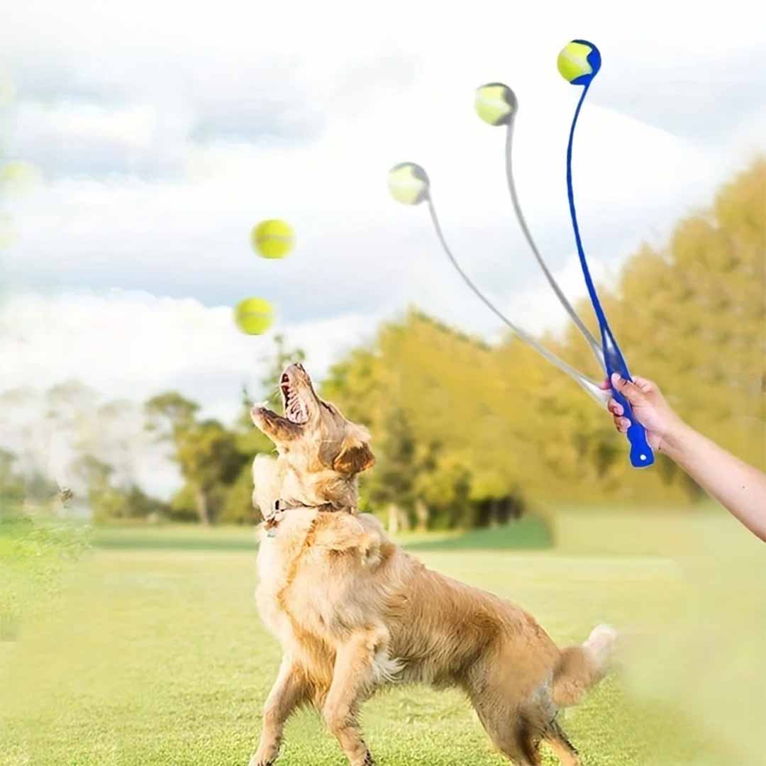 Bollkastare för hund – hundleksak för hundträning och apport