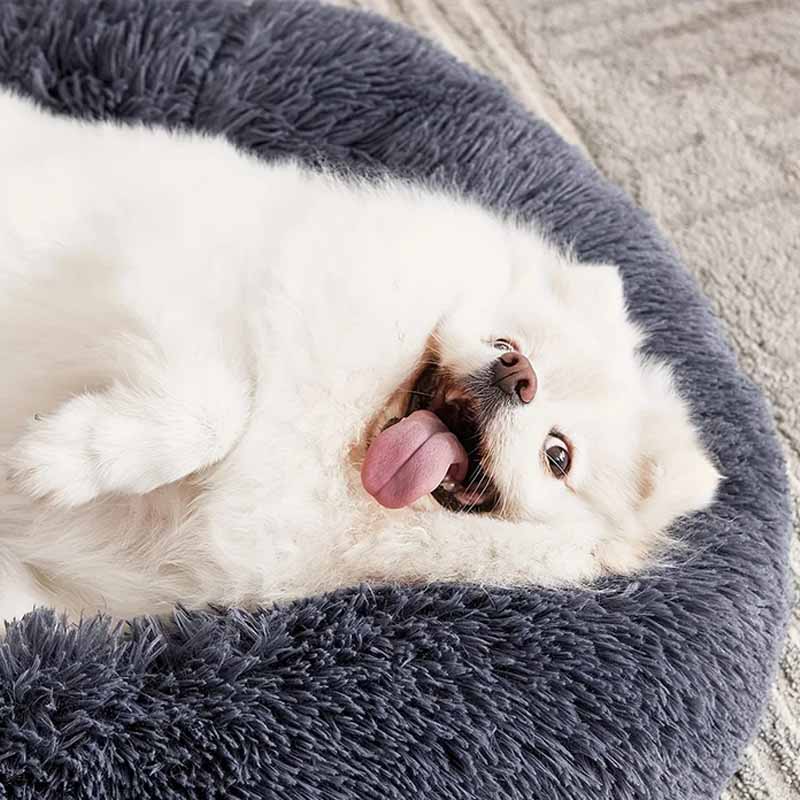 Hund- och kattbädd rund - mjuk plysch & tvättbar