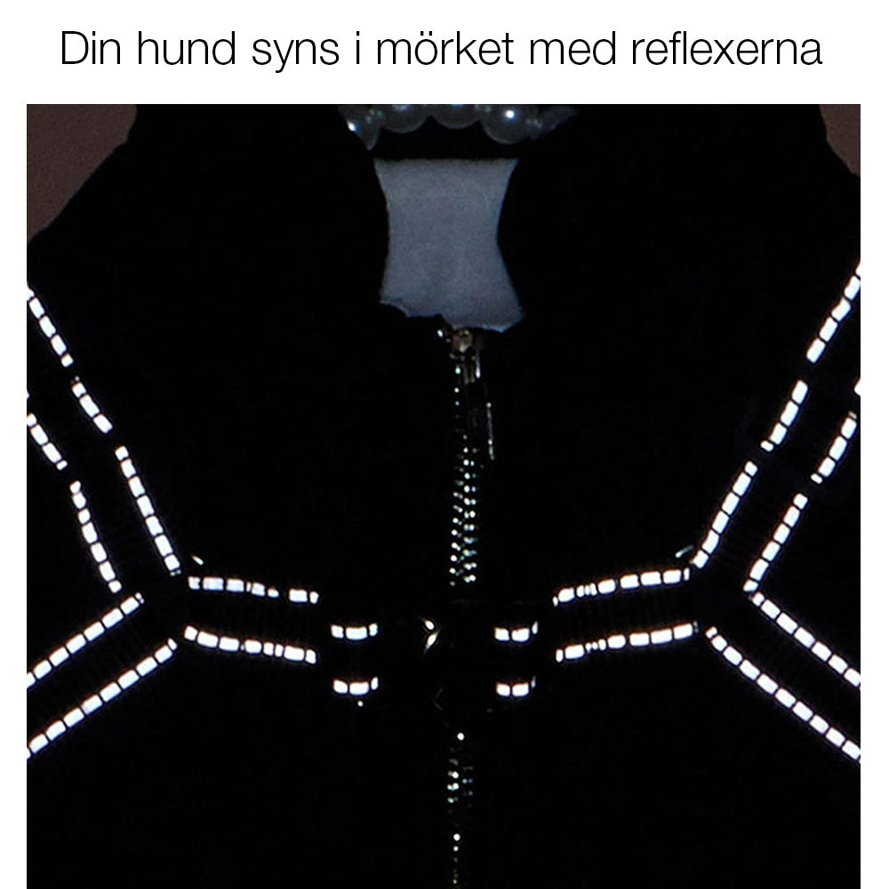 Hundjacka med sele – varm vinterjacka för hundar