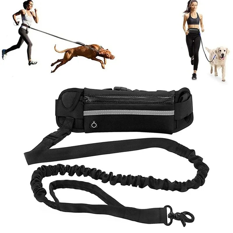 Hundkoppel runt midjan för löpning – jogga och gå handsfree