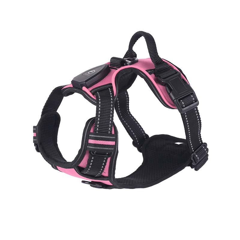 Hundsele med LED-belysning - reflex, laddningsbar & justerbar