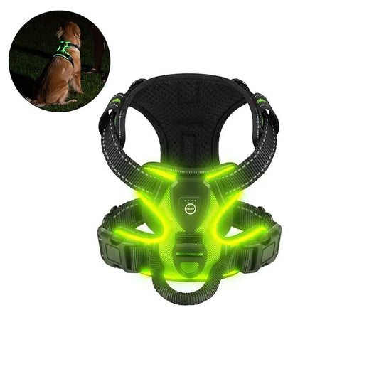 Hundsele med LED-belysning - reflex, laddningsbar & justerbar