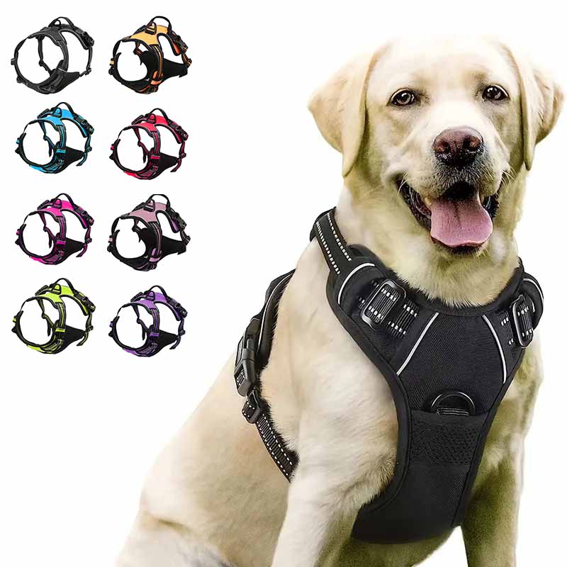 Hundsele för bil och promenad - reflex, bekväm, slitstark