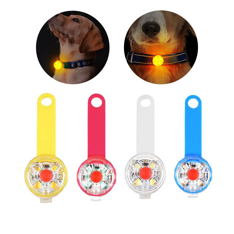 LED-lampa för hundhalsband – synlig i mörker