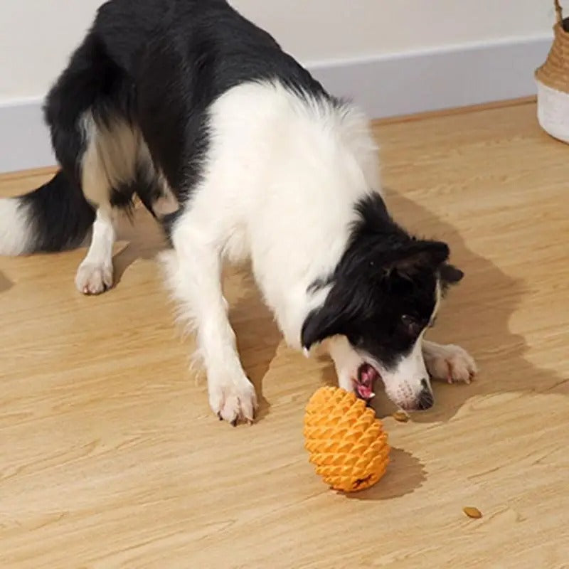 Tuggleksak för hund – tallkotte design för tandrengöring och lek